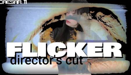 Flicker: Subliminal Control, Sensory Overload (Director's Cut)