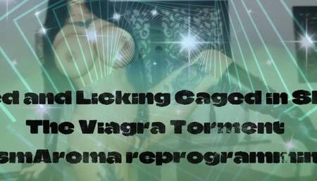 Locked and Licking Caged in Shame: The Viagra Torment (MesmAroma reprogramming 2) 18 min