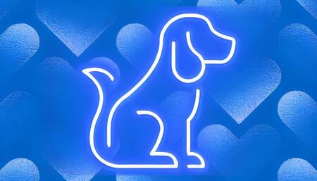 Puppy Obedience Training for Good Boys