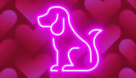 Puppy Obedience Training for Good Girls