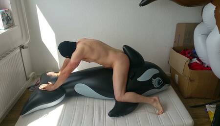 Fun with a intex whale