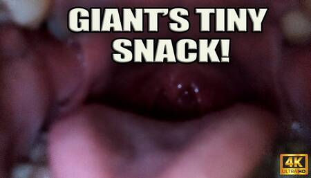 KingMarti: Giants Tiny Snack! - 4K