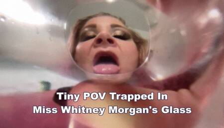 Tiny POV Trapped In Miss Whitney Morgan's Glass - wmv
