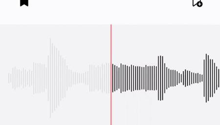 LACTOSE BELLY GURGLES AUDIO ASMR