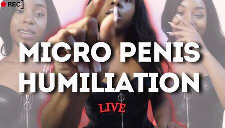 Micropenis Humiliation