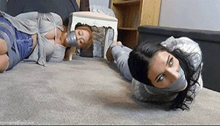 Tatti & Daisy in: The Mystery of the Abandoned Mill! Curious Girls Stumble into a Theft Caper 10 Years in the Brewing! (WMV)