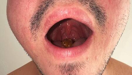 GIANT BRUNO SWALLOWS THEM WHOLE SUB