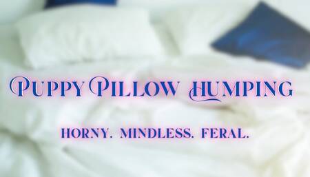 Puppy Pillow Humping