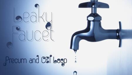 Leaky Faucet Loop