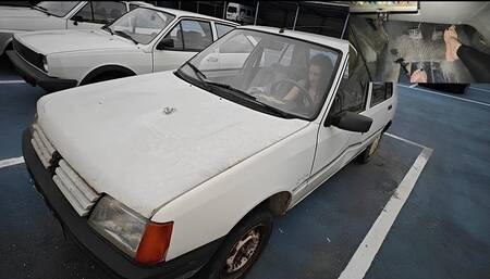 Always in trouble with my Peugeot 205 HD