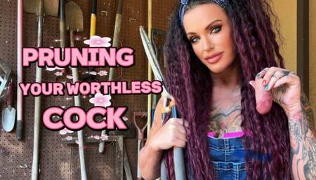 PRUNING YOUR WORTHLESS COCK - Penectomy, CBT, Humiliation, MistressRavenFD