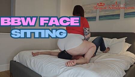 Face Seat For My Big Arse HD