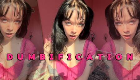 DUMBIFICATION