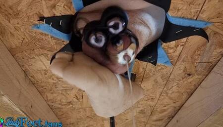 Chastity Milking Bastinado HD