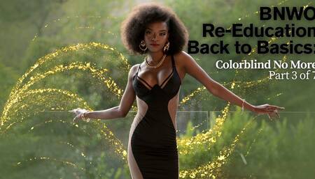 BNWO Re-Education Back to Basics: Colorblind No More Part 3