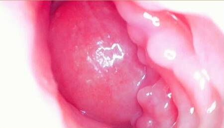 1st Doggy Creampie with Internal Cam - Booty Massage Ends in Cum Kissing