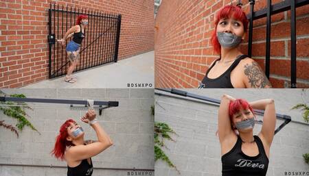 Rose 3 - Brick & Mortar Desires