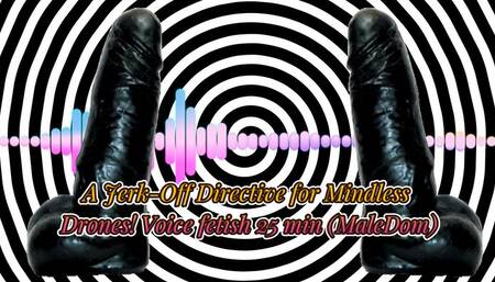 A Jerk-Off Directive for Mindless Drones! Voice fetish 25 min (MaleDom)
