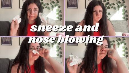 Sneeze and Nose Blowing