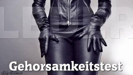 LEDER: Gehorsamkeitstest