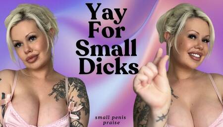Yay For Small Dicks: Small Penis Praise JOI