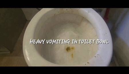 HEAVY VOMIT IN TOILET BOWEL