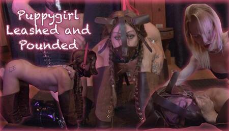 Mistress Elizabelle Dixie trains and fucks PuppyGirl Variety Itsol session: two