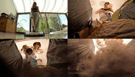 Vacuumed up, dumped in the trash and no possible escape!