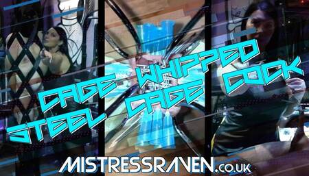 [1006] Cage Whipped Steel Cage Cock