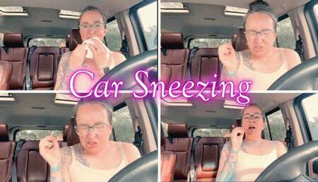 Car Sneezing *mp4*