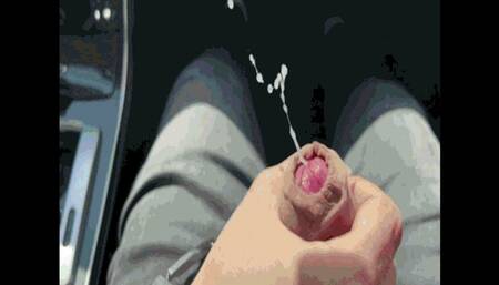 I want you to cum in my car at speed WMV