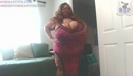 THE JOSEPH PERFECT FIT FOR NORMA STITZ