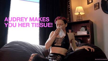 Gentle Femdom Verbally Humiliates You While Spitting And Sneezing All Over You wmv