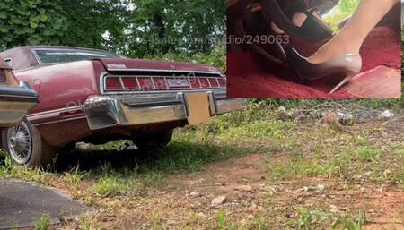 Listen to my t-bird pop when I stomp!