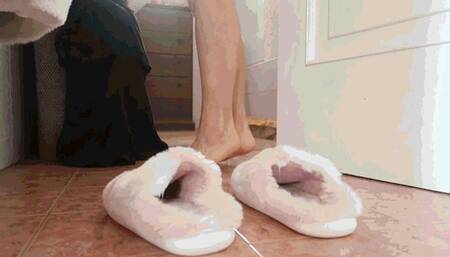 Who did this to my slippers? AVI (1920x1080) FHD