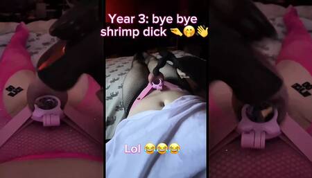 MistyBubbleWush - The Sissy Journey