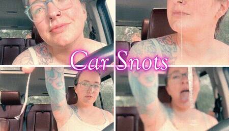 Car Snots *mp4*