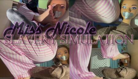 Slavery Simulation