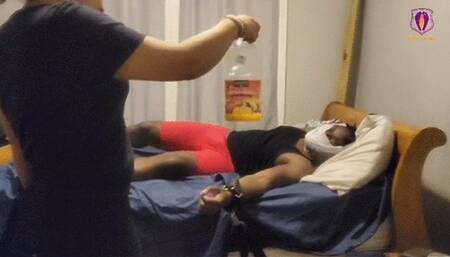 Will Macy's Tickle Toy "Baloogah Whale"