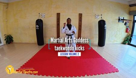 Martial Arts Goddess taekwondo kicks lesson volume 2