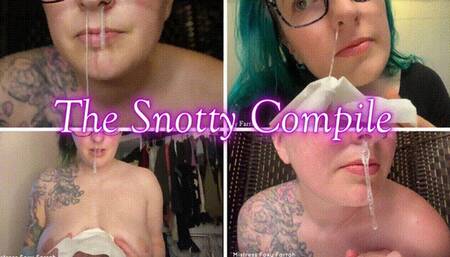 The Snotty Compile *WMV*