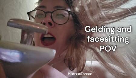 Gelding and Facesitting POV