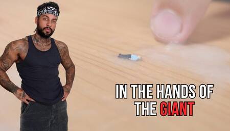 In the hands of the Giant - Lalo Cortez