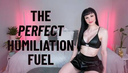 The Perfect Humiliation Fuel (WMV HD)