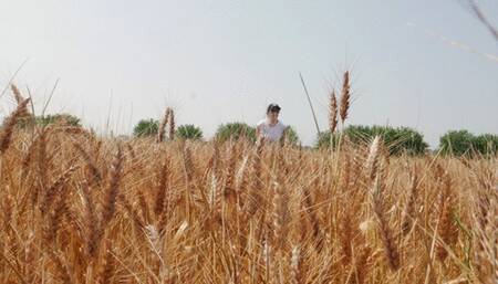 Sabry Handcuffed arrested in car part 2