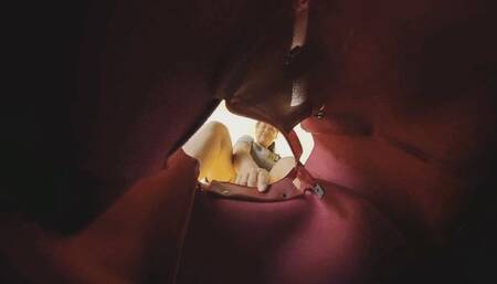 VR360 GAOYU played with the dwarfs in his bag