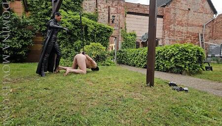 HTF - Kickboxing,Trampling, Ball Busting, Bull Whipping - 04