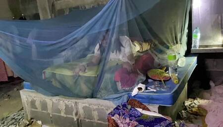 FN109 When I returned to my room to do the activity, I found something.EP2-2