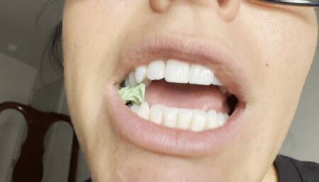 Worship & Eat My Chewed Gum