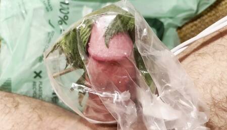 Cbt Stinging nettles candle wax cum